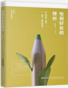 《恰到好处的挫折:在最深的绝望,遇见最美的意外》[美]格雷格•S•里德电子书