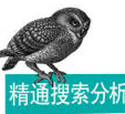 《精通搜索分析》电子书