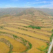 《澄城县土地利用总体规划[附word]》电子书