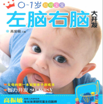 《美国儿科学会育儿百科0到1岁聪明宝宝左脑右脑大开发》电子书