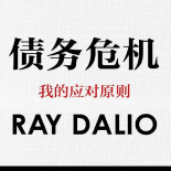 《债务危机》电子书