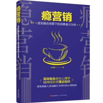 《瘾营销:虚实融合场景下的消费者行为学》电子书