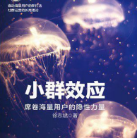 《小群效应》电子书