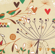 《鸟儿不惊的地方》