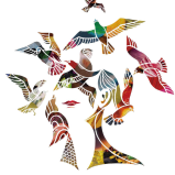 《伊斯坦布尔的幸福》