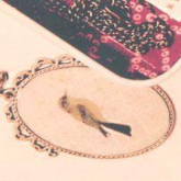 《最美的时光》