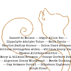 《一只猫的生活与哲学观》