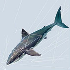 《广告争夺战:互联网数据霸主与广告巨头的博弈》电子书