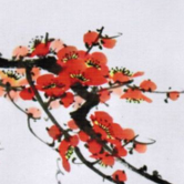 《天配良缘之商君》