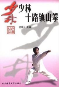 《少林十路镇山拳》吴景川电子书